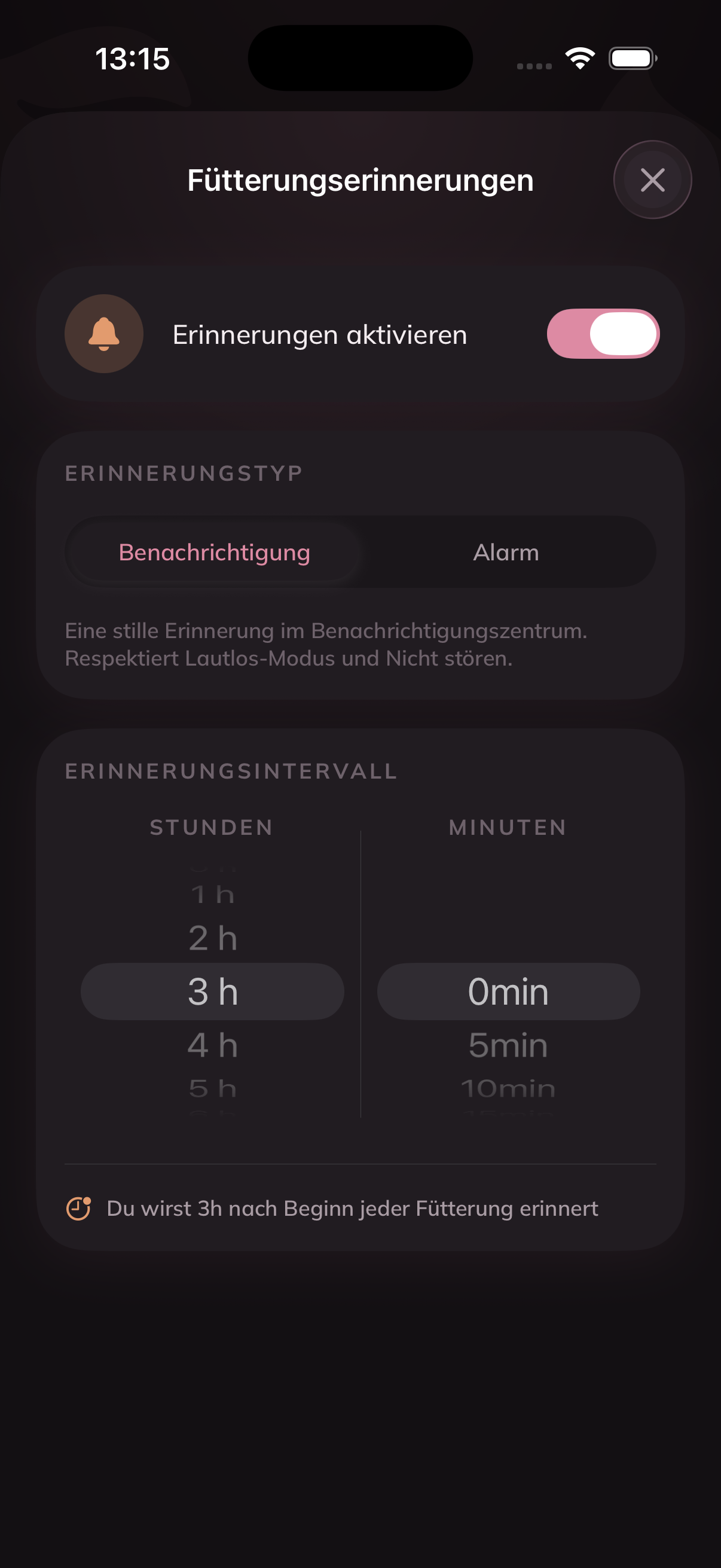 Smarte Erinnerungen*